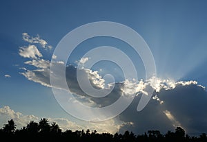 Cumulus cloud with sunbeam on beautiful blue sky , Silhouette of coconut palm tree with black color fluffy cloud at sunset