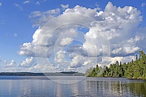 Cumulus Clouds over the North Woods