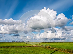 Cumulus clouds and polder landscape with grass near Grou, Friesland, Netherlands
