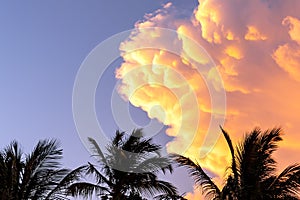 Cumulus clouds of during sunset on a background of palm trees