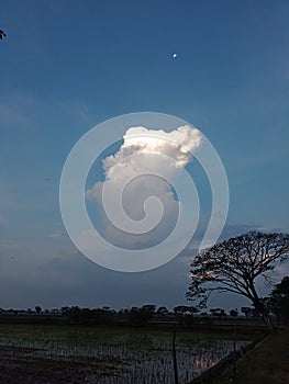 The Cumulus Mediocris Cloud and The Moon