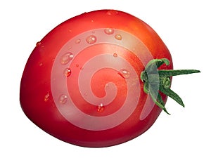 Cuore di bue oxheart tomato, dewdrops, paths