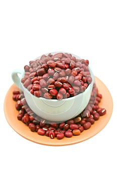 Cup of Adzuki Beans photo