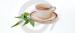 Cup of Andrographis paniculata or sambiloto with white background photo