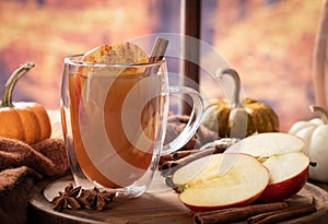 Cup of apple cider with autumn background