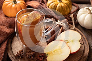 Cup of apple cider with sliced apples and cinnamon