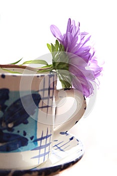 Cup with aster and sauser
