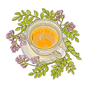 Astragalus tea illustration