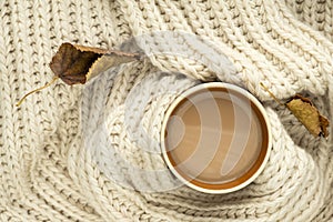 Cup of autumn coffee, tea or hot chocolate, fall leaves on a warm scarf. Drink for autumn cold rainy days. Sunday