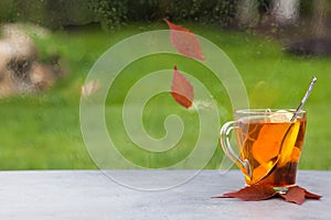 A Cup of autumn tea with leaves near the window, copy space. Hot drink for autumn cold rainy days. hygge, autumn mood