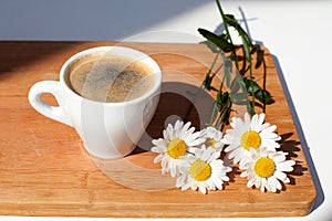 A cup of black coffee branch of white daisy flowers on wooden background in morning bright sunligh with shadow photo