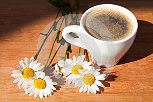 A cup of black coffee branch of white daisy flowers on wooden background in morning bright sunligh with shadow photo