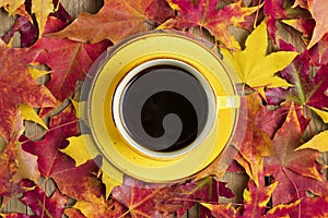 Cup with black coffee on wooden table with autumn fallen yellow, orange and red leaves
