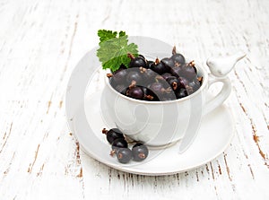 Cup with black currant