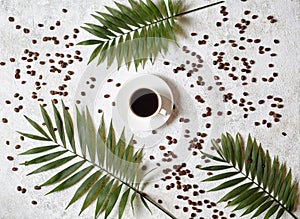 Cup of black espresso on a white concrete background with scattered coffee beans and palm branches. Rest in warm