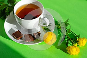 A Cup of black tea, pieces of chocolate and yellow flowers of Trollius europaeus on a green background. Chocolate day