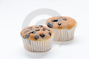 Cup cake chocolate chip on white background.