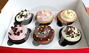 Cup cakes in take out box