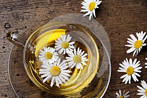 A cup of camomile tea photo