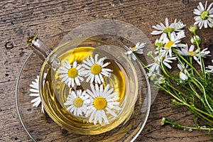 Cup of camomile tea photo