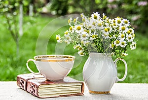 Cup of chamomile tea and chamomile in vase on table in sunny garden.