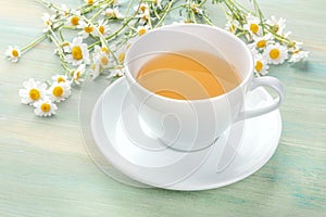 A cup of chamomile tea on a teal blue background