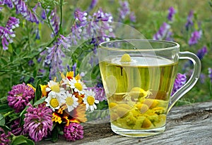 Cup of chamomile tea on a wooden table. clover flowers and a cup of chamomile tea. herbal tea. y.