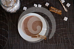 Cup of Cocoa, Cinnamon Sticks and Sugar Cubes