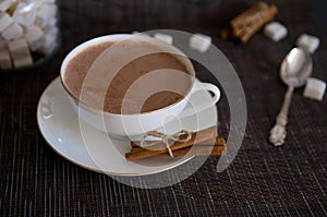 Cup of Cocoa, Cinnamon Sticks and Sugar Cubes