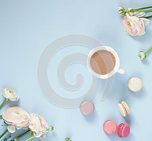 Cup of cocoa, macaroons cookies colorful in pastel colors and delicate pink ranunculus flowers on a pale blue background