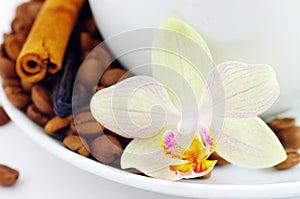 Cup and coffee beans