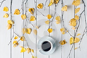 Cup of coffee in the in birch branches with yellow leaves  on white retro wood boards. background. Autumn, fall concept. Flat lay