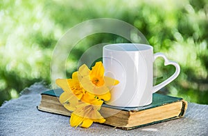 Cup of coffee and book. Cup of tea and flowers. White mug on natural background photo