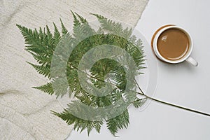 Cup of coffee on brown yarn and white wooden background with green leaves Davallia fern, Flat lay top view. photo