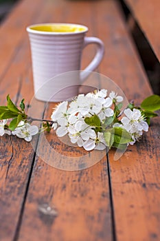 A cup of coffee on a dark, worn rustic wooden table. The composition is decorated with a twig with white flowers. Cherry tree