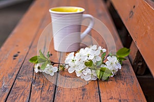 A cup of coffee on a dark, worn rustic wooden table. The composition is decorated with a twig with white flowers. Cherry tree