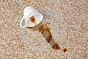 Cup of coffee fell on carpet. Stain is on floor