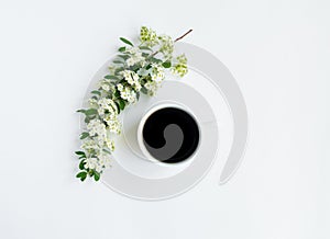 Cup of coffee and flowering Spirea arguta brides plant branch on white table. Flat lay, top view