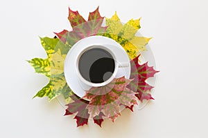 Cup of coffee, framed with autumn leaves on white background. Flat lay. Overhead view