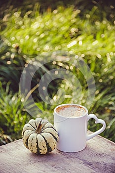 Cup of coffee in the garden. Coffee and pumpkin