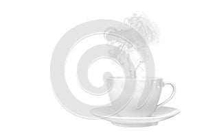 a cup coffee isolated on the transparent background