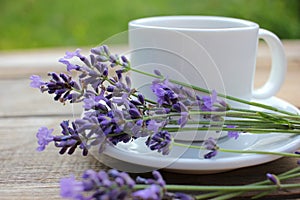 Cup of coffee with lavender flowers on wooden table background with copy space.
