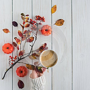 Cup of coffee, leaves, small pumpkins and rowan on white retro wood boards background. Autumn, fall concept. Flat lay, top view.