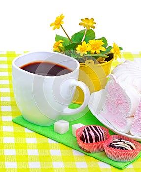 Cup of coffee with marshmallow, chocolate sweets, yellow wildflowers isolated on white