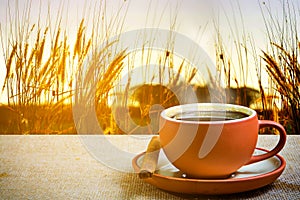 Cup of coffee with meadow at sunset background.