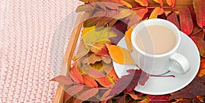 Cup of coffee with milk and colorful leaves on wood tray on pink pastel knitted plaid background. Autumn cozy. Flat lay, top view
