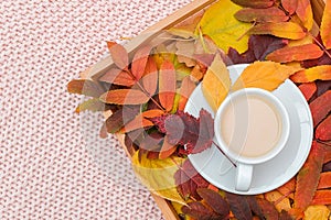 Cup of coffee with milk and colorful leaves on wood tray on pink pastel knitted plaid background. Autumn cozy. Flat lay, top view