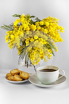 Cup of coffee, plate with toasts and vase with branches of mimosa on a white background