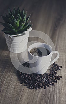 Cup of coffee standing between coffee beans with small cute aloe tree