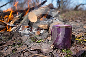 Cup with coffee is standing next to a campfire